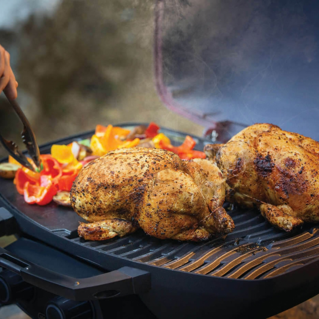 Napoleon TravelQ™ 285 with Griddle